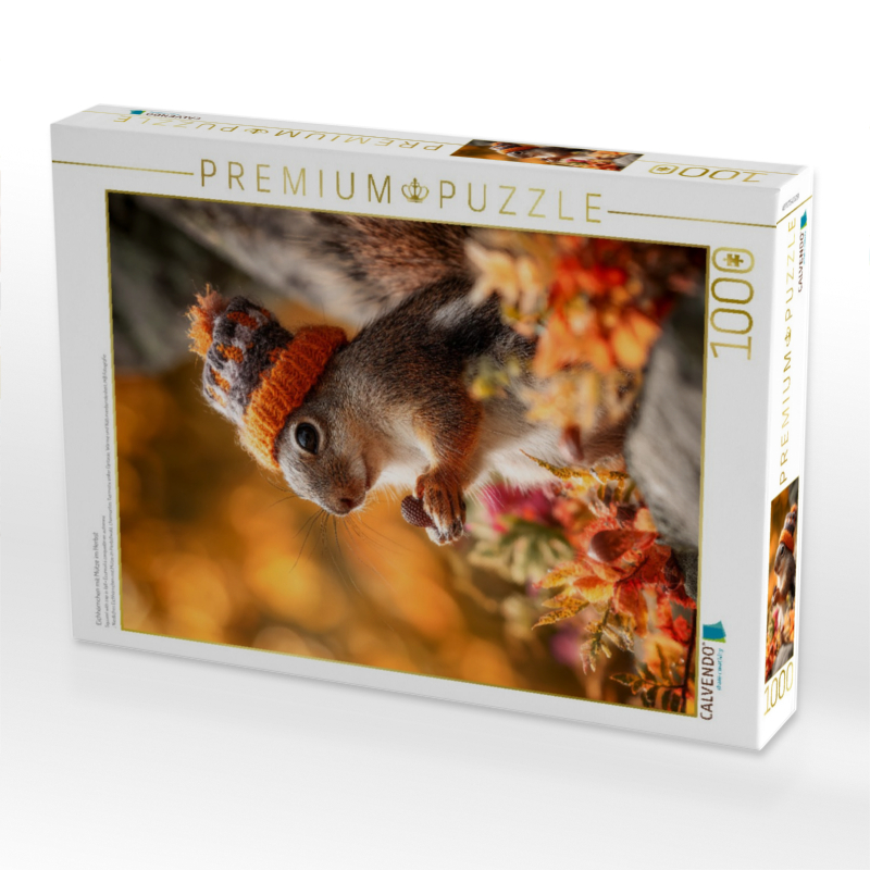 Eichhörnchen mit Mütze im Herbst