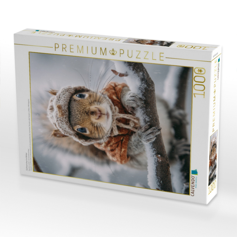 Eichhörnchen im Winter