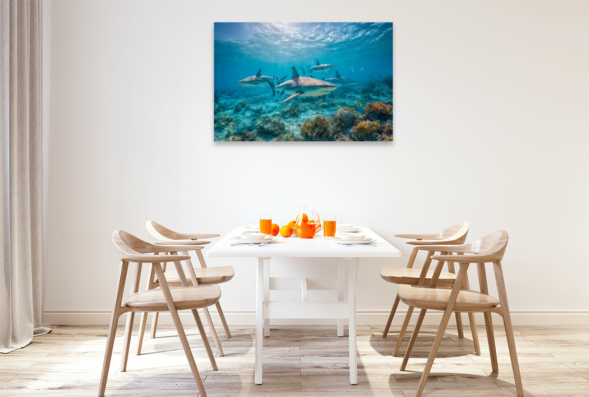 Haie über Korallenriff im Ozean