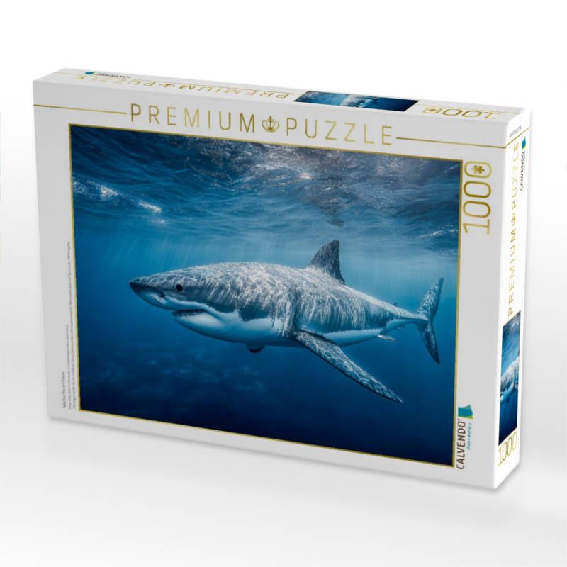 Weißer Hai im Ozean