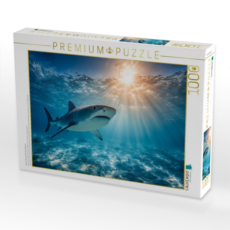 Hai im Sonnenlicht des Ozeans