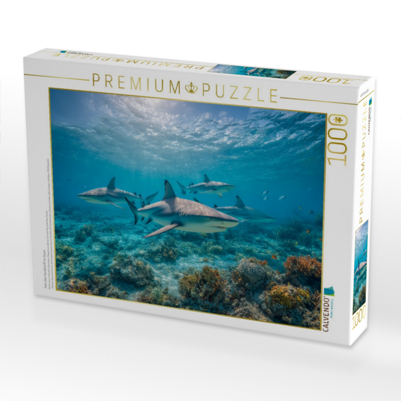 Haie über Korallenriff im Ozean