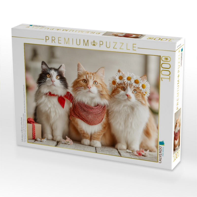 Süße Katzen mit Blumen und Geschenk