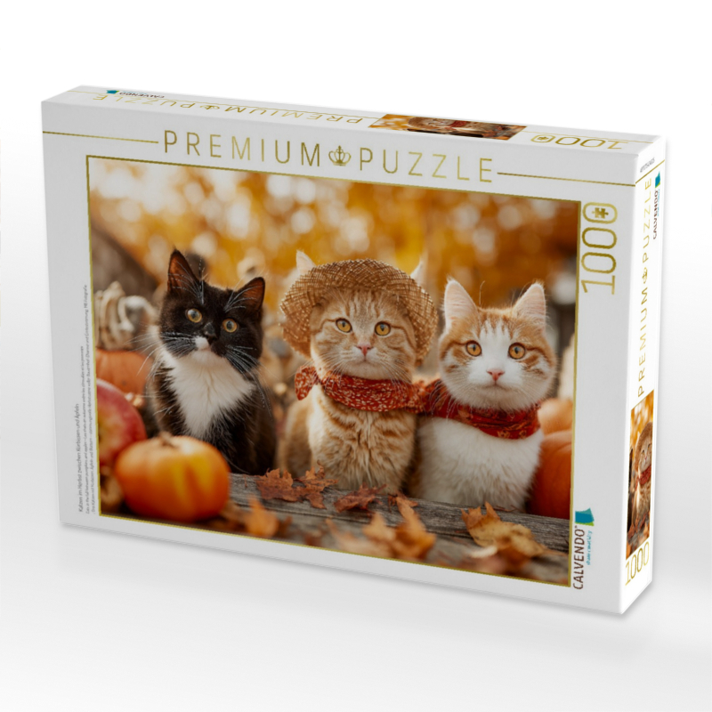 Katzen im Herbst zwischen Kürbissen und Äpfeln