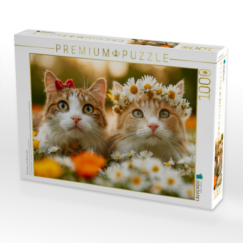 Süße Katzen in der Blumenwiese