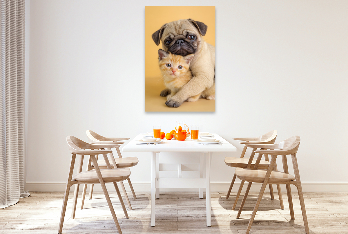 Mopswelpe umarmt Kätzchen – Tierische Freundschaft voller Liebe