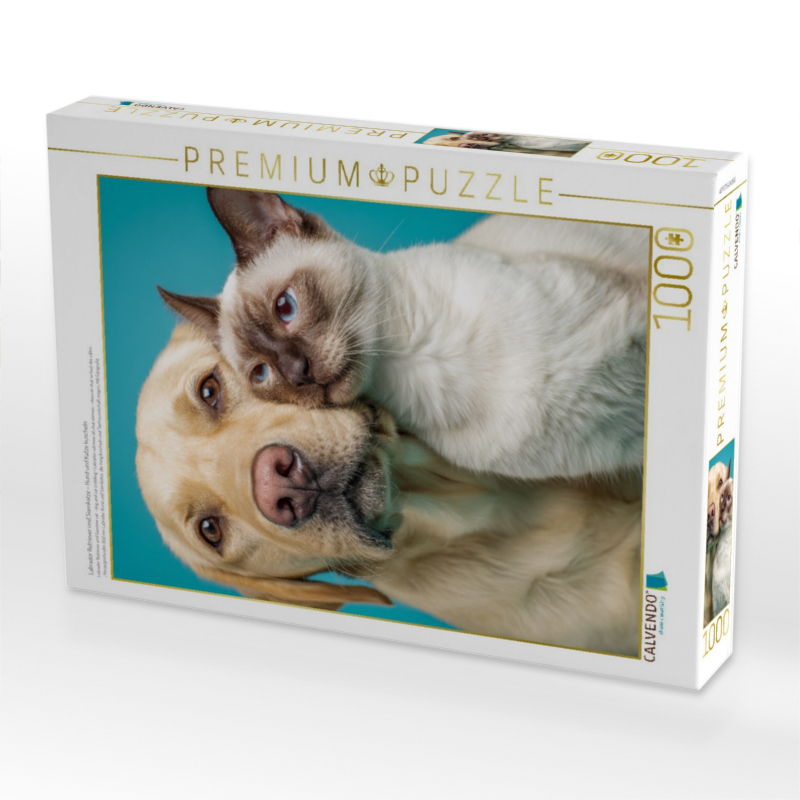 Labrador Retriever und Siamkatze – Hund und Katze kuscheln