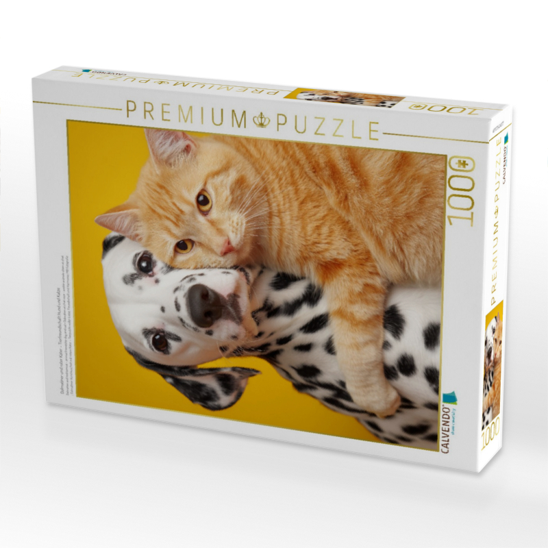 Dalmatiner und roter Kater – Tierfreundschaft Hund und Katze