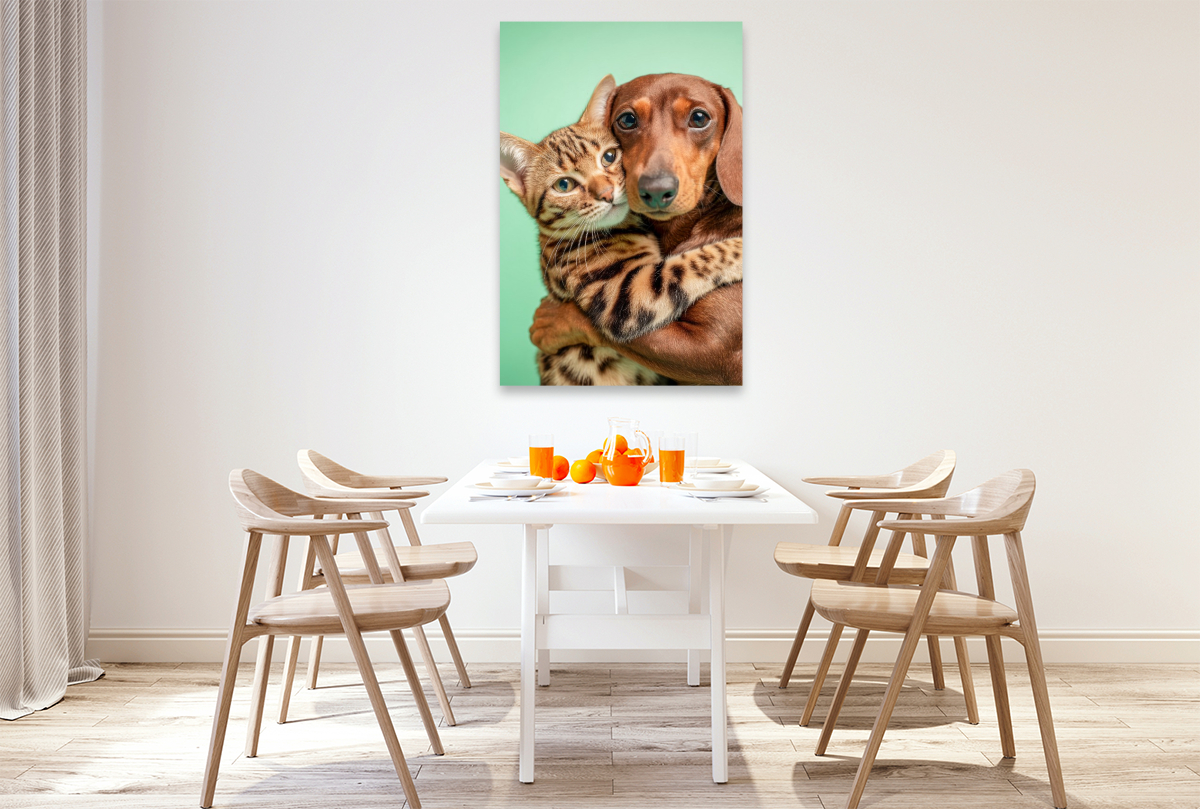 Ein Dackel umarmt eine Bengalkatze und zeigt wahre Tierfreundschaft