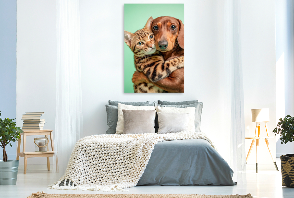 Ein Dackel umarmt eine Bengalkatze und zeigt wahre Tierfreundschaft