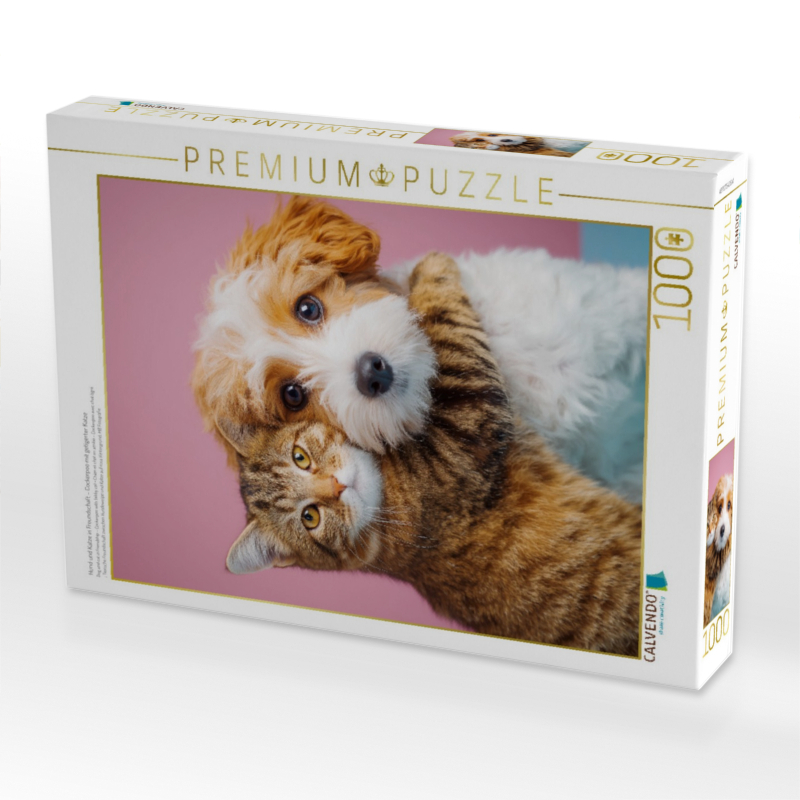 Hund und Katze in Freundschaft – Cockerpoo mit getigerter Katze