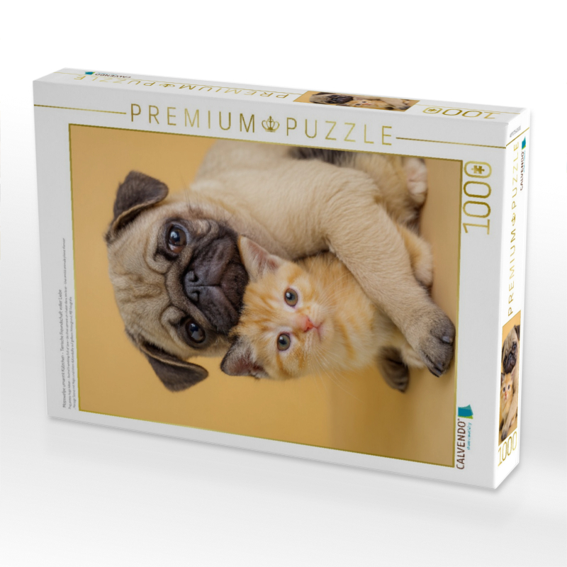 Mopswelpe umarmt Kätzchen – Tierische Freundschaft voller Liebe