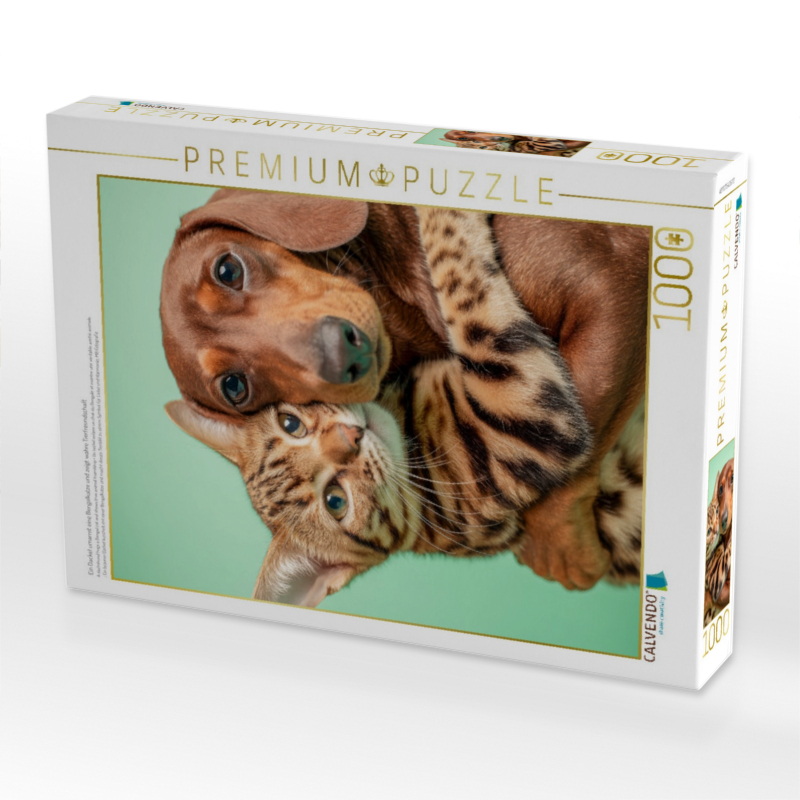 Ein Dackel umarmt eine Bengalkatze und zeigt wahre Tierfreundschaft