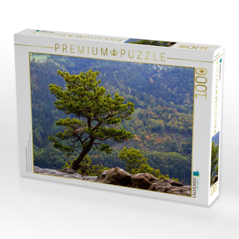 Krüppelkiefer auf dem Lilienstein