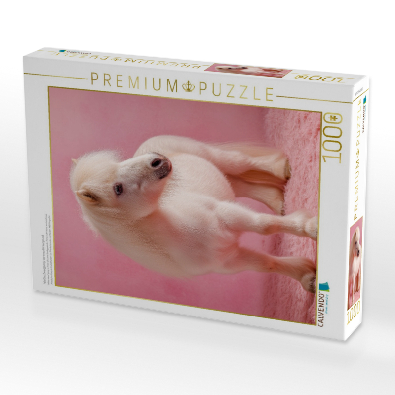 Weißes Zwergpony vor rosa Hintergrund