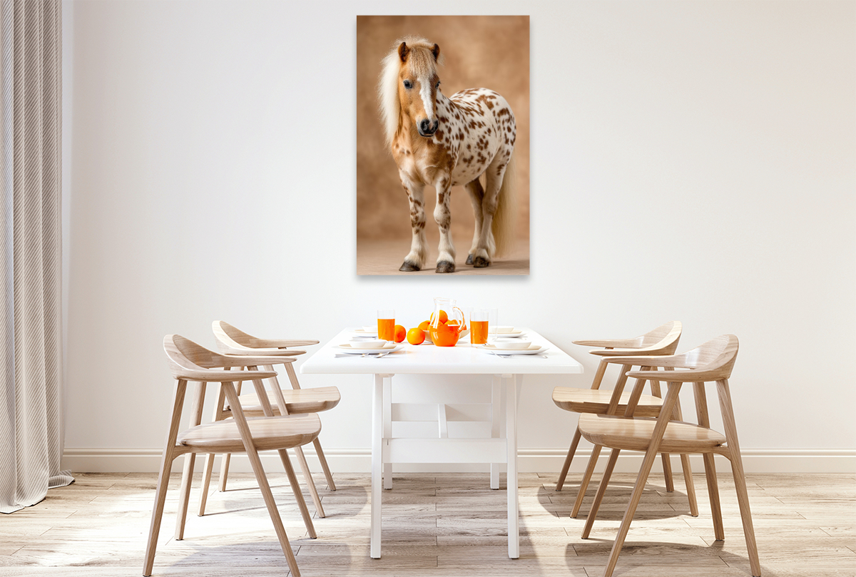 Geflecktes Zwergpony Bild im Portrait