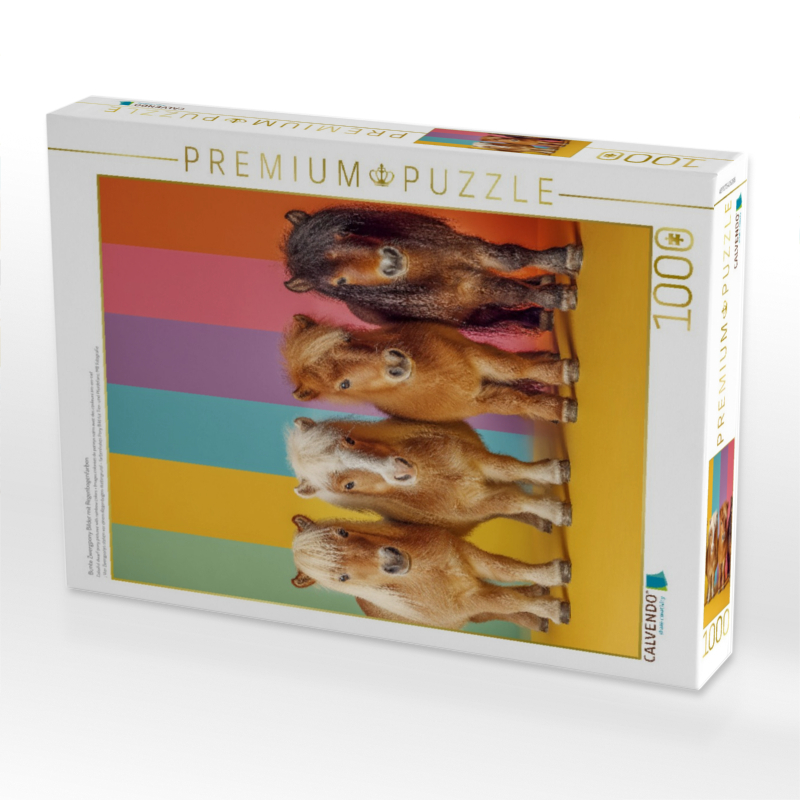 Bunte Zwergpony Bilder mit Regenbogenfarben