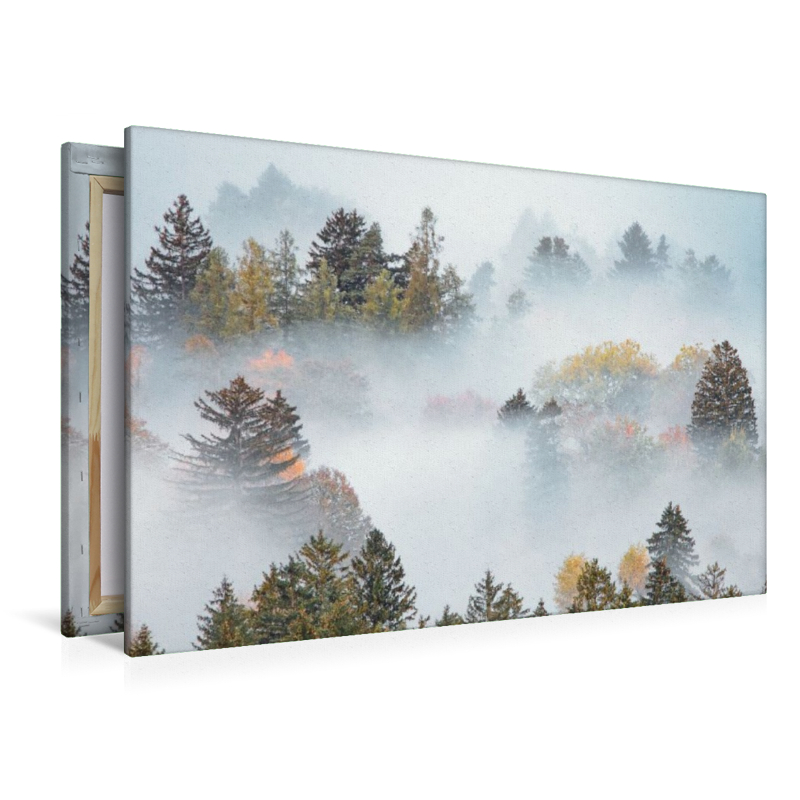 Schwangau, Ostallgäu