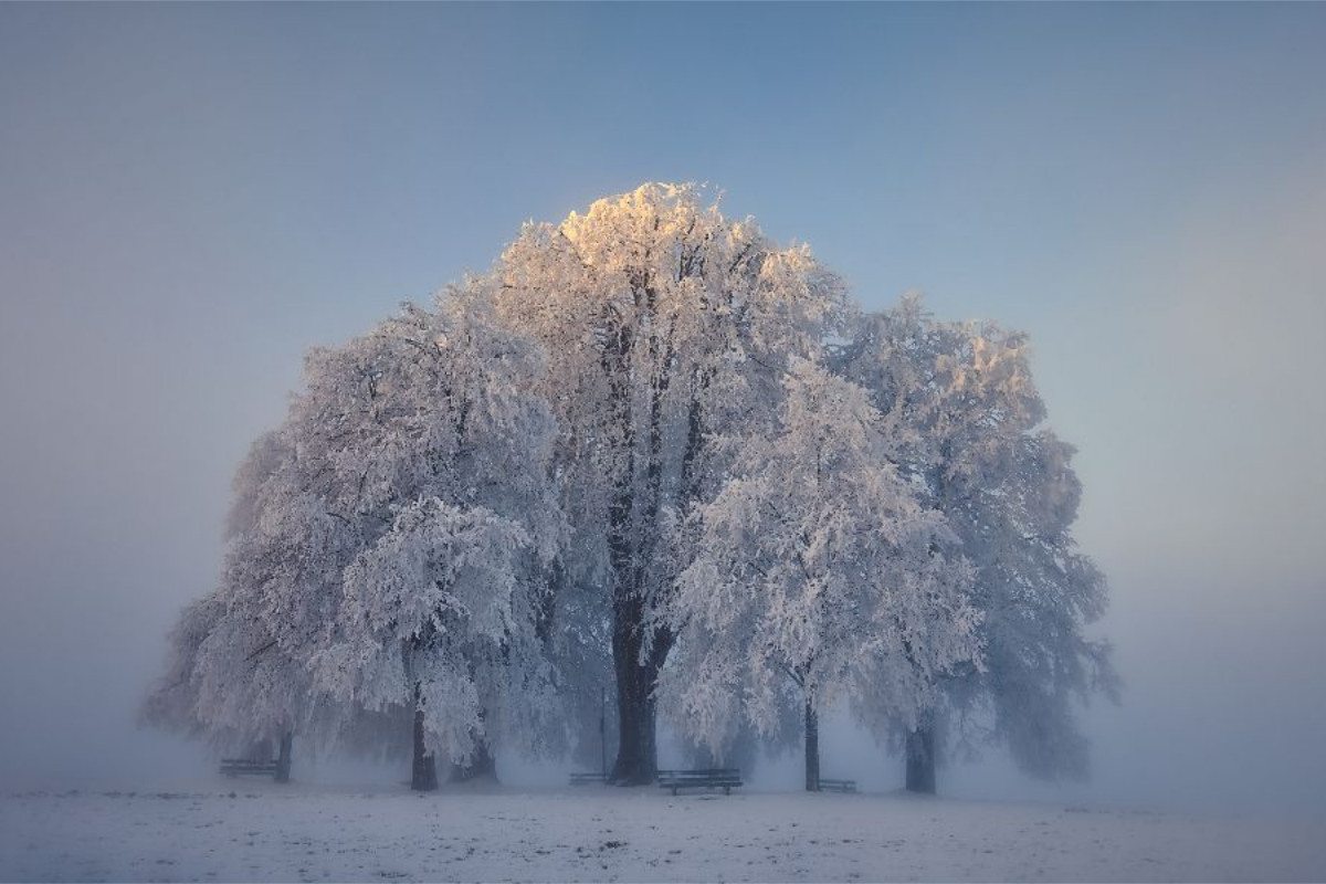 Amalienhöhe Heiligenberg, Linzgau