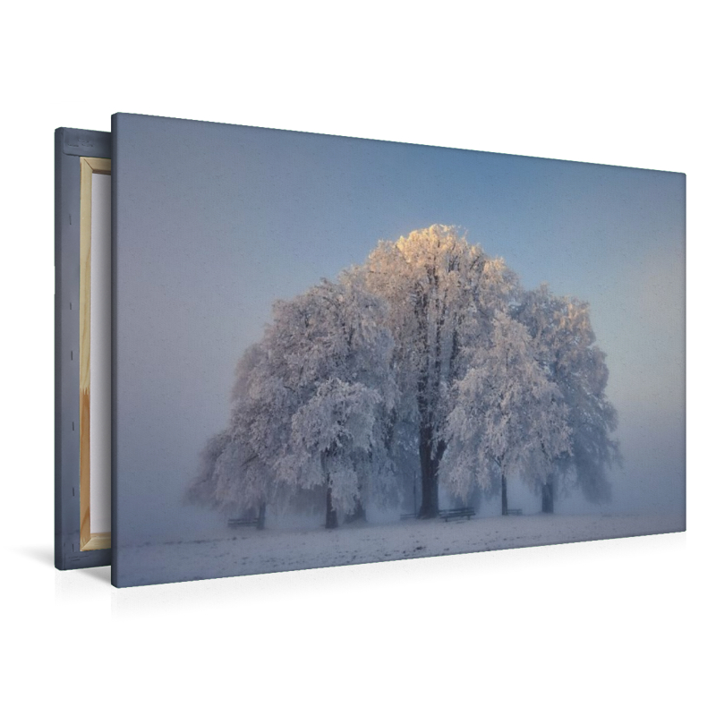 Amalienhöhe Heiligenberg, Linzgau