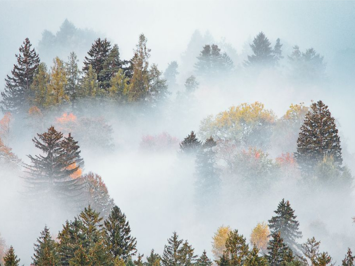 Schwangau, Ostallgäu