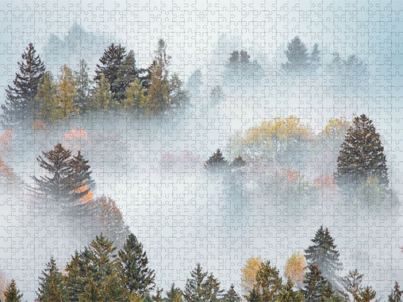 Schwangau, Ostallgäu