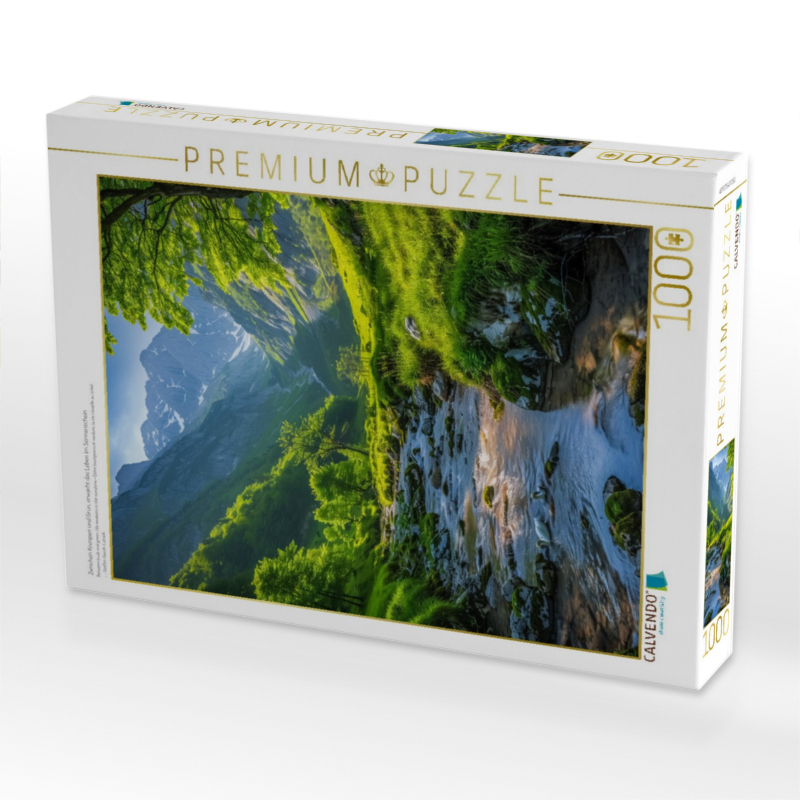 Zwischen Knospen und Grün, erwacht das Leben im Sonnenschein