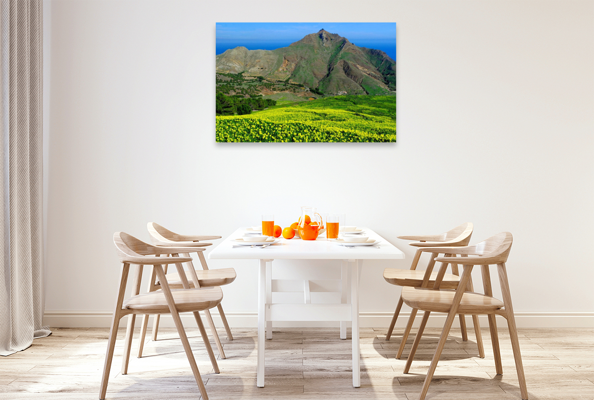 Pico Branco blühender Klee