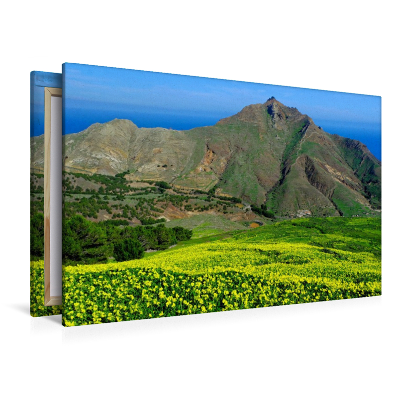 Pico Branco blühender Klee