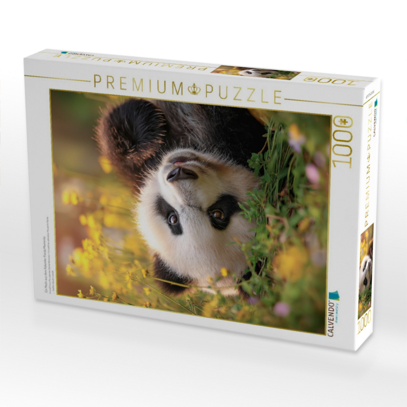 Ein Motiv aus dem Kalender Panda Momente