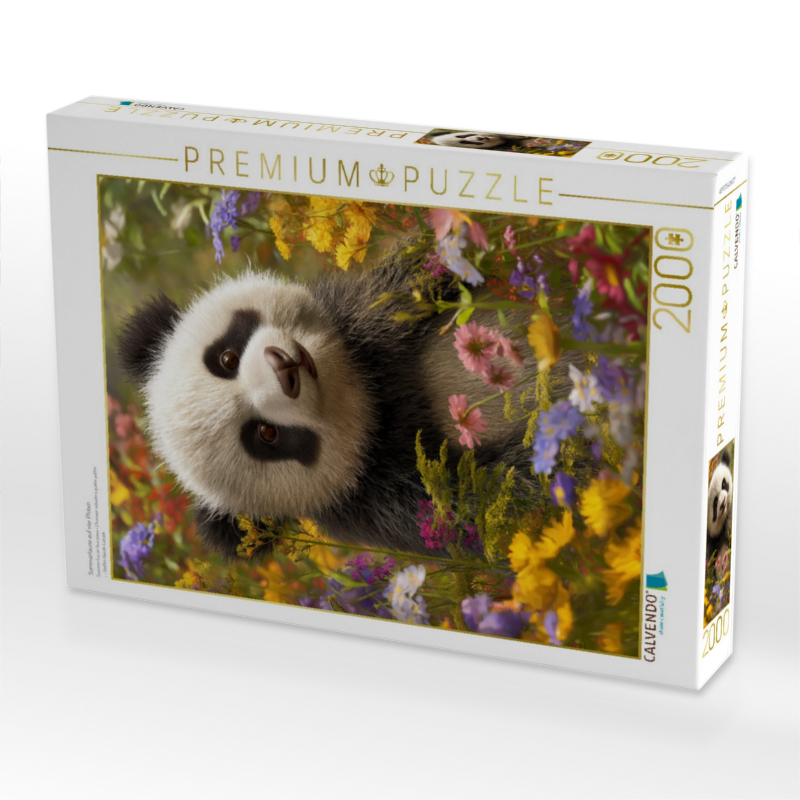 Sommerlaune auf vier Pfoten