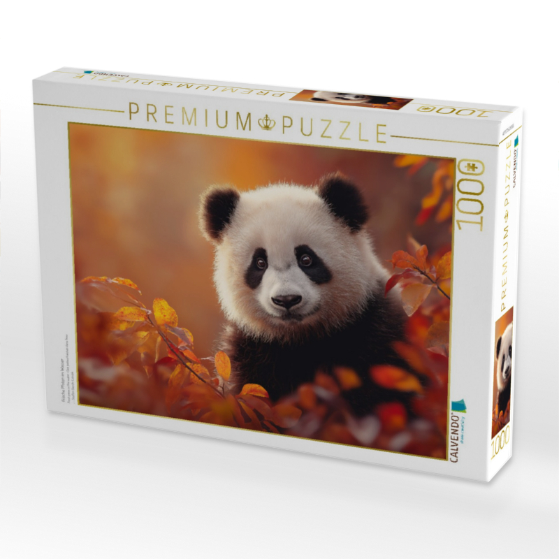 Frische Pfoten im Wasser