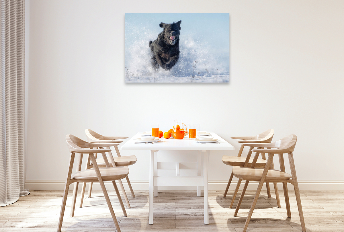 Ein Motiv aus dem Kalender Riesenschnauzer - Herz auf vier Pfoten