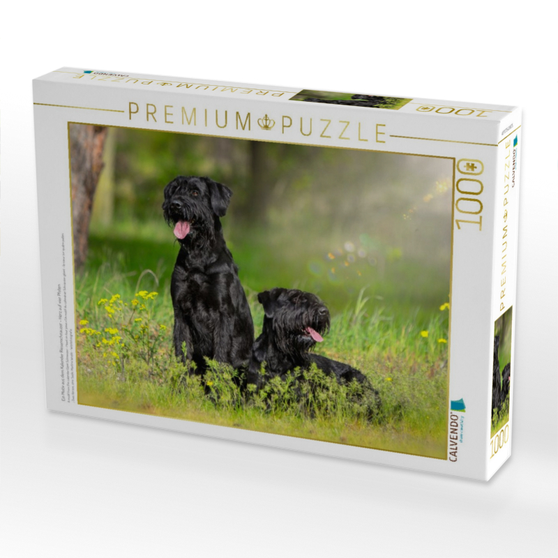 Ein Motiv aus dem Kalender Riesenschnauzer - Herz auf vier Pfoten