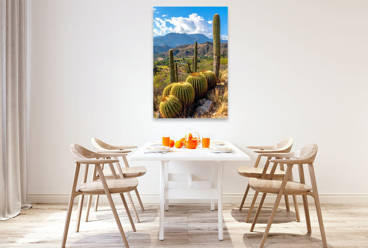 Kakteen in ihrer natürlichen Umgebung