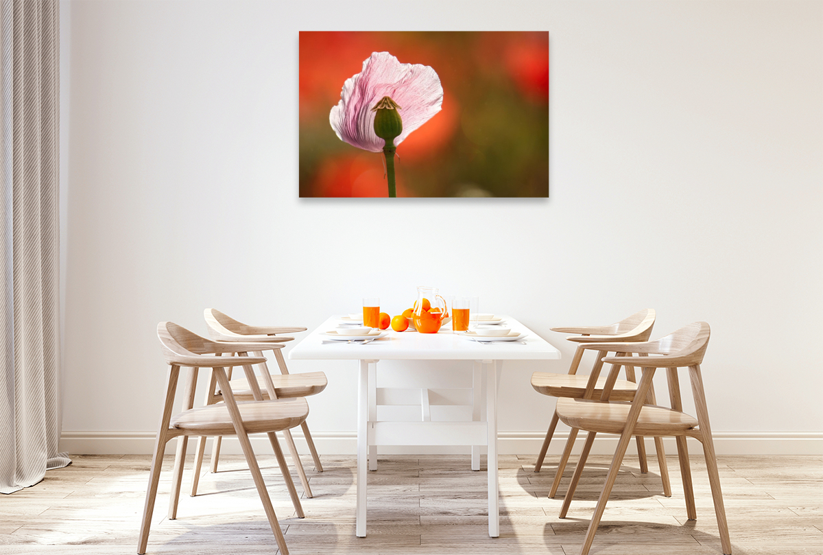 Verletzliche Schönheit