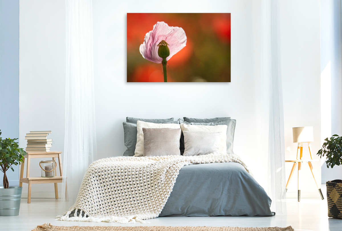 Verletzliche Schönheit