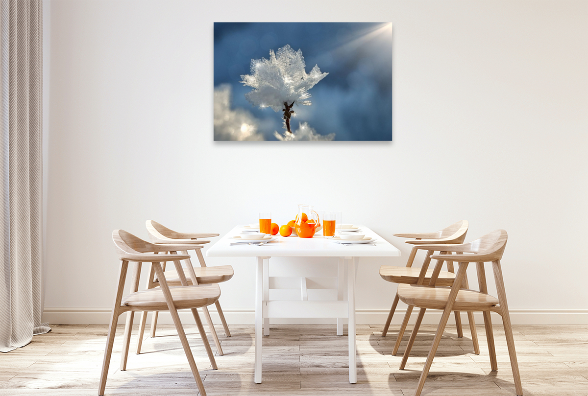 Kristallblüte im Sonnenschein