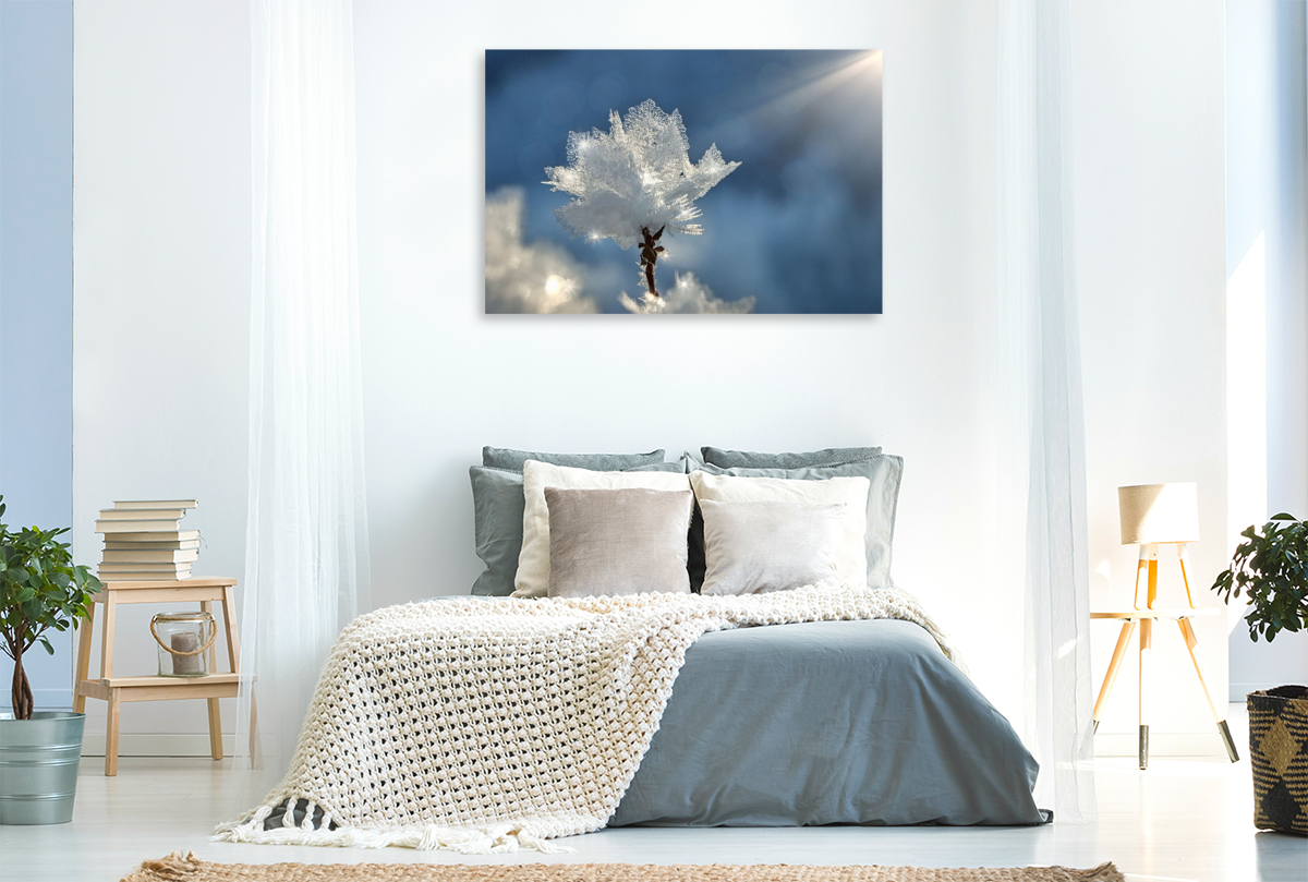 Kristallblüte im Sonnenschein