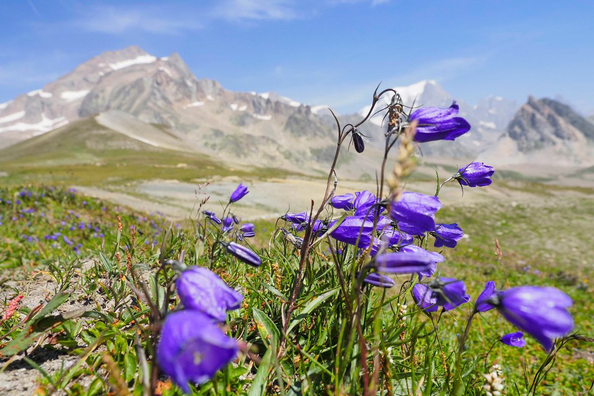 Der Tour du Mont Blanc