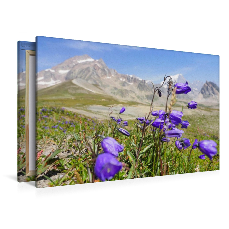 Der Tour du Mont Blanc