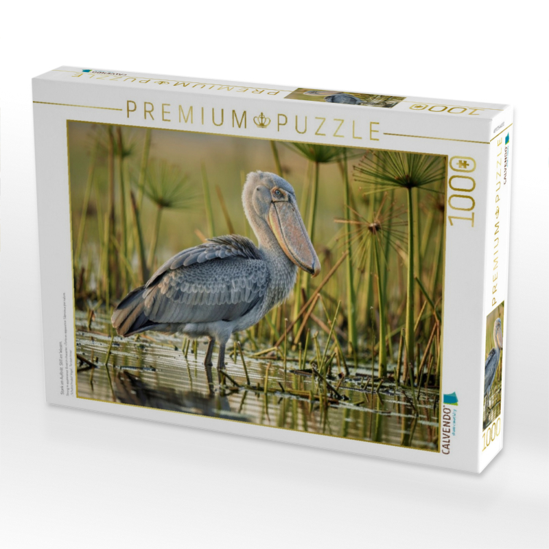 Stark im Auftritt. Still im Wesen.