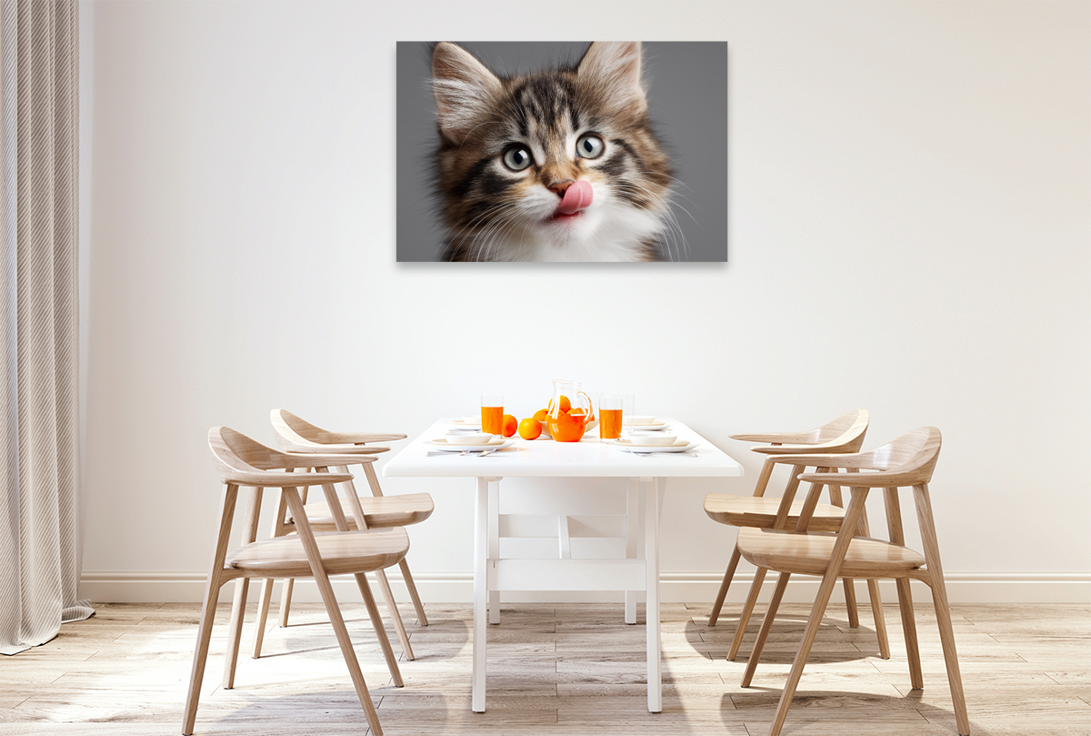 Ein Motiv aus dem Kalender Miau macht glücklich