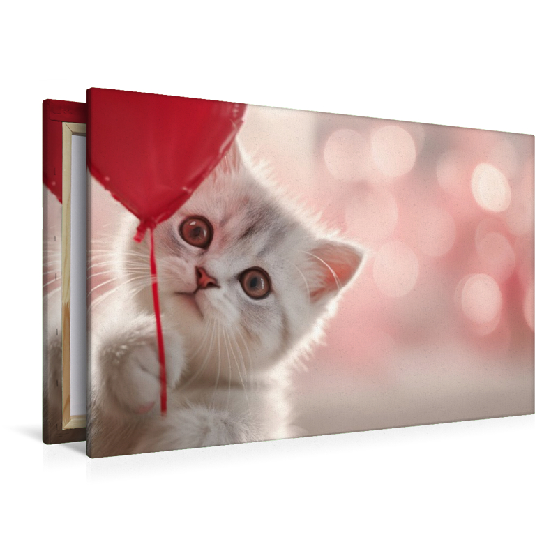 Herzklopfen auf Samtpfoten