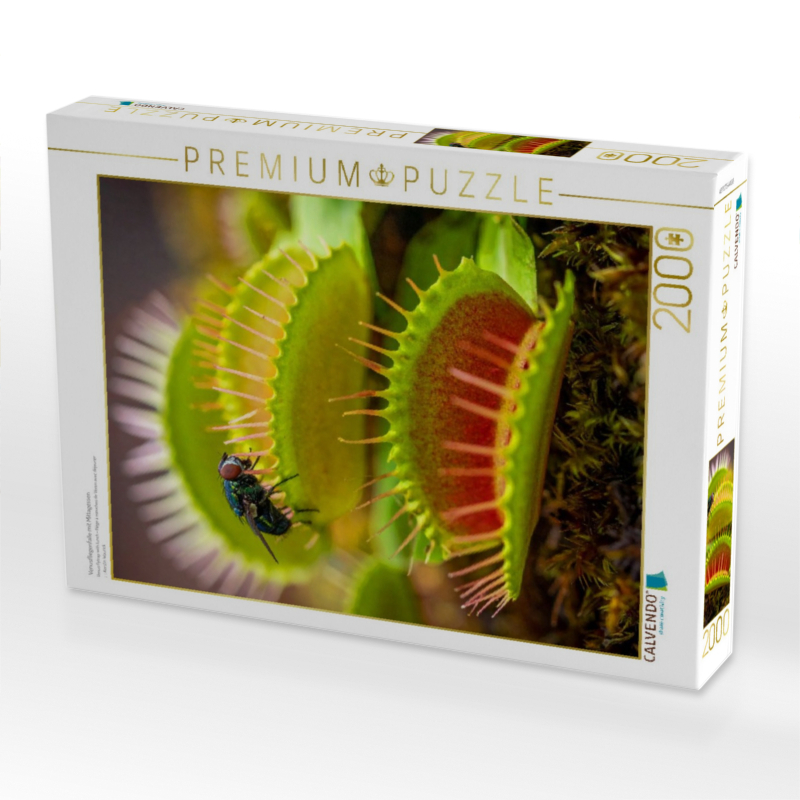 Venusfliegenfalle mit Mittagessen