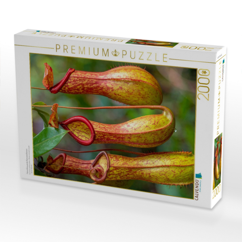 Fleischfressende Kannenpflanzen