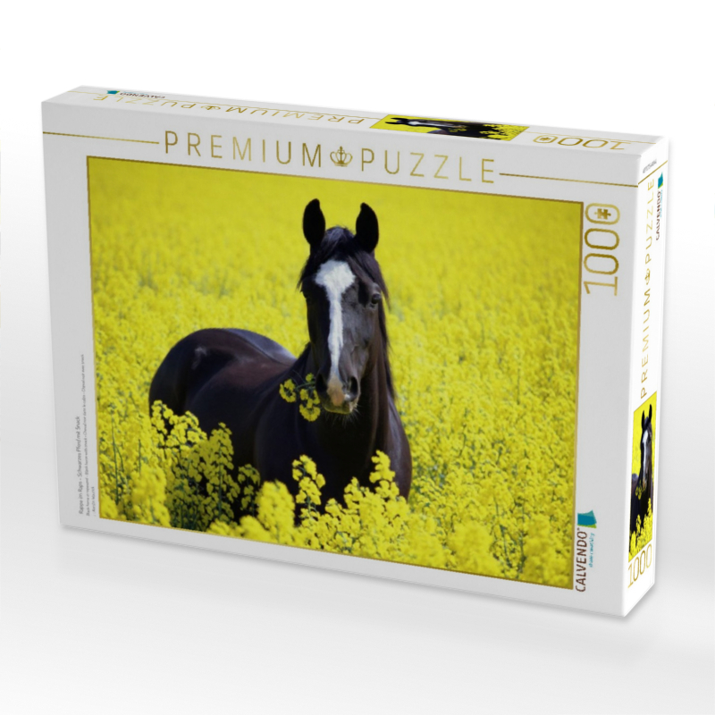 Rappe im Raps - Schwarzes Pferd mit Snack