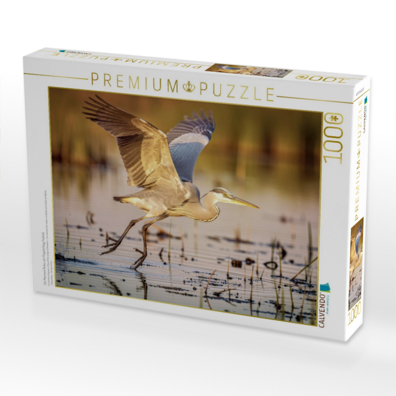 Ein Moment Ruhe, ein Flügelschlag Freiheit.