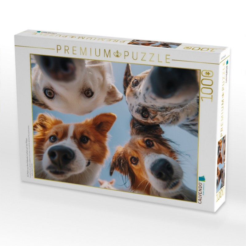 Ein Motiv aus dem Kalender Lachen auf vier Pfoten