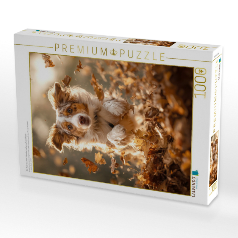 Ein Motiv aus dem Kalender Lachen auf vier Pfoten